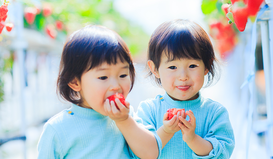 いちごの直販&いちご狩り